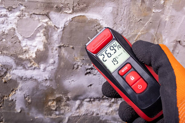 Best Certified Mold Removal  in Dardenne Prairie, MO