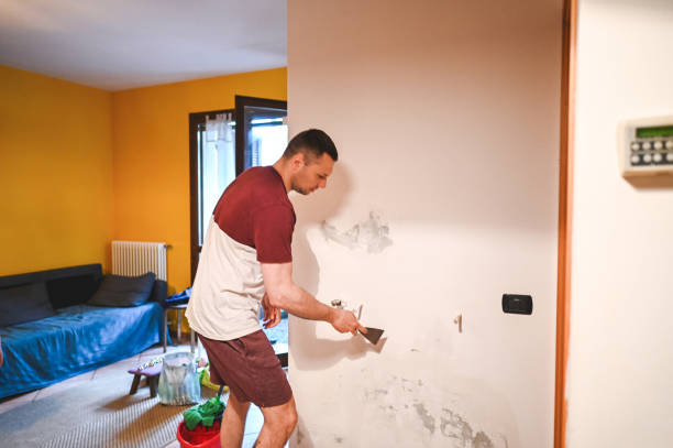 Best Black Mold Removal  in Dardenne Prairie, MO